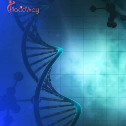 Why China is Becoming a Global Leader in CAR T-Cell Therapy